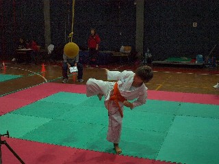 Image description